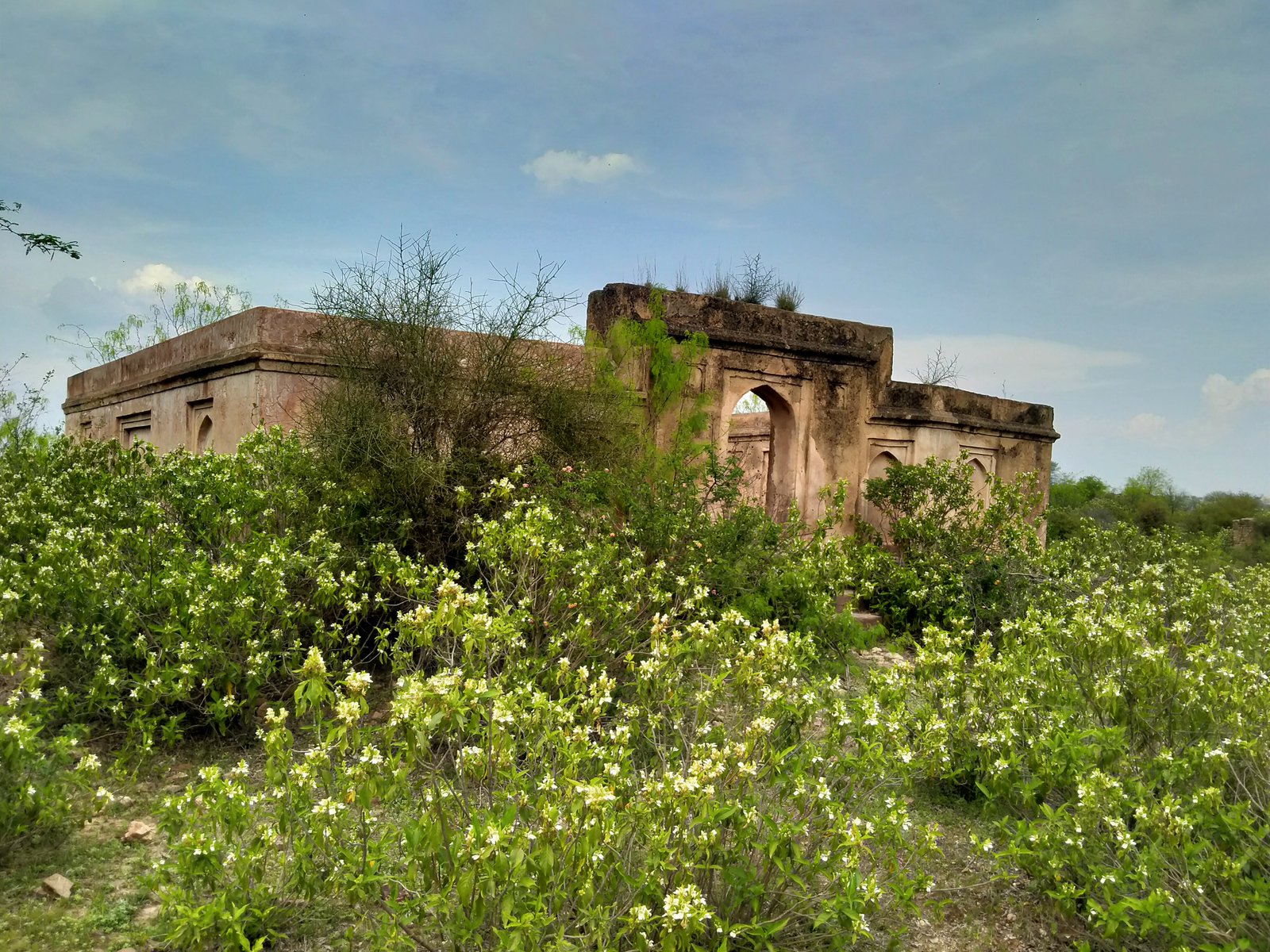 Travel Photo